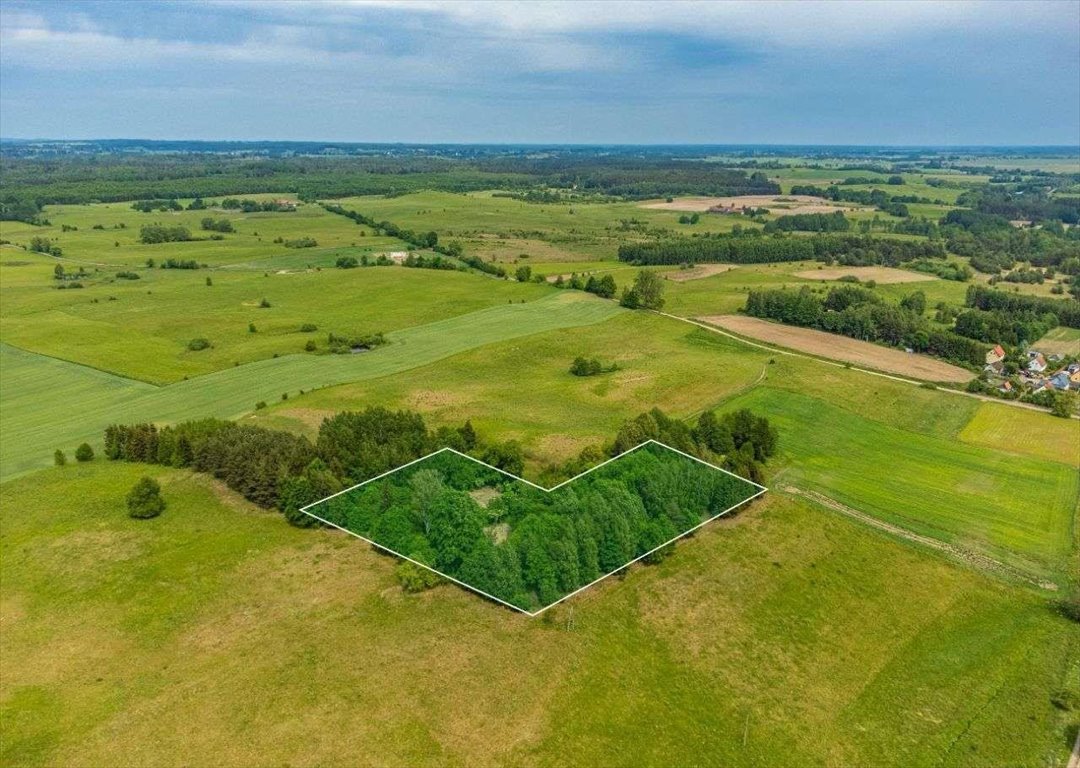 Działka siedliskowa na sprzedaż Łaniewo  9 096m2 Foto 2