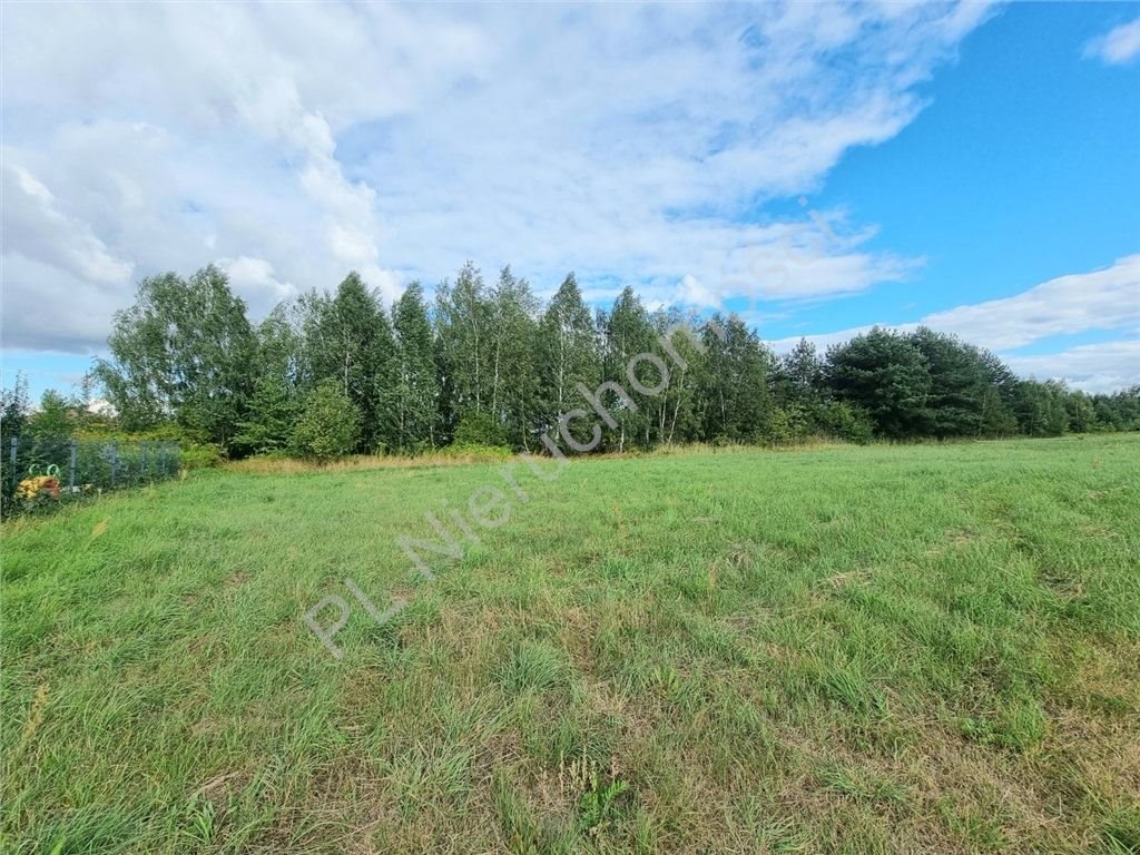 Do sprzedania działka 1000 m² w Ruscu z mediami i blisko domów Rusiec  1 000m2 Foto 1