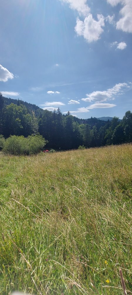 Działka budowlana na sprzedaż Zawoja, Zawoja, Mosorne  2 408m2 Foto 3