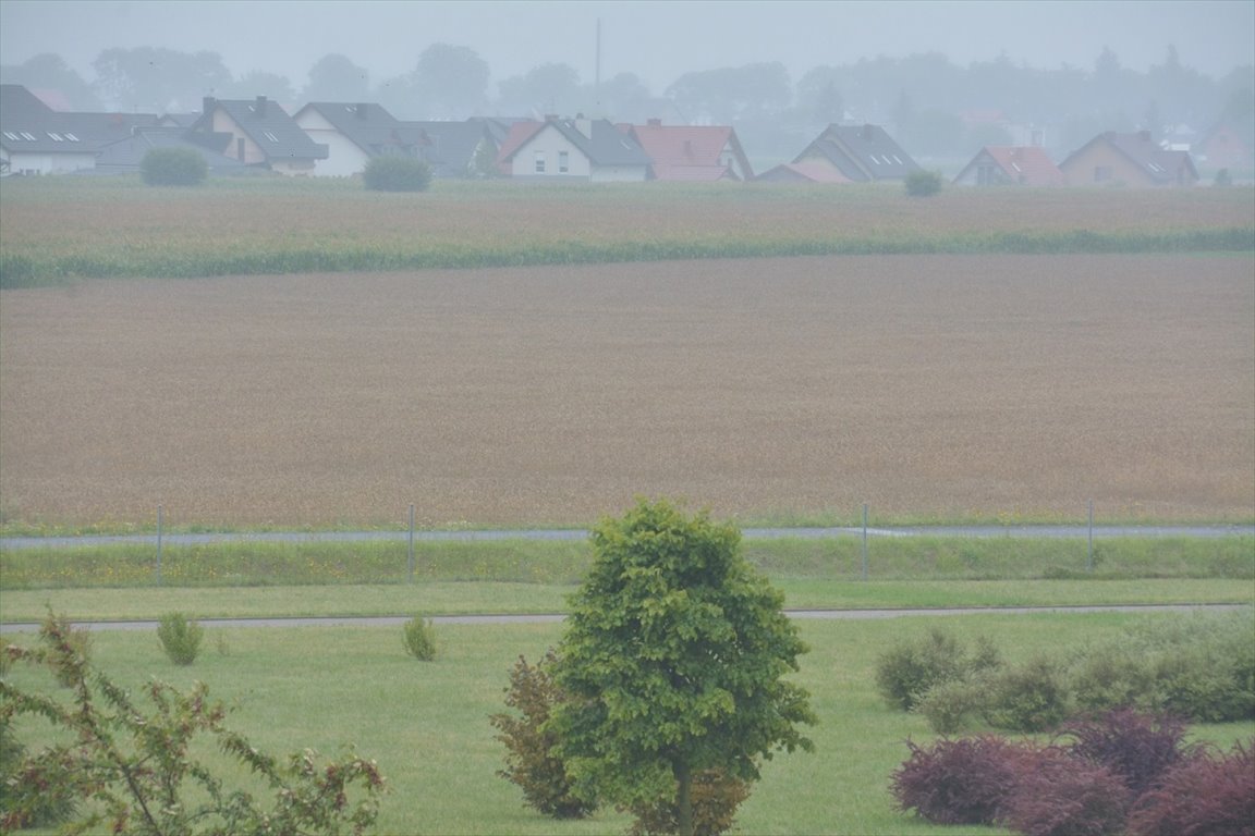 Działka inwestycyjna na sprzedaż Konarzewo, Konarzewo, Szkolna  19 498m2 Foto 1