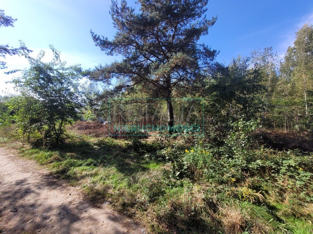 Działka budowlana na sprzedaż Osowiec  1 000m2 Foto 6