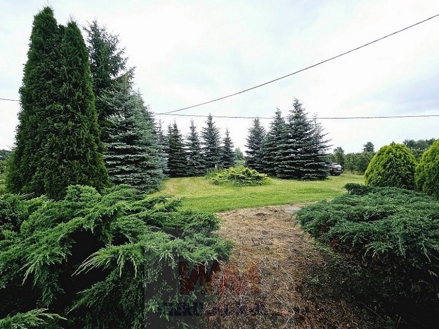 Działka siedliskowa na sprzedaż Jasieniec  39 500m2 Foto 15