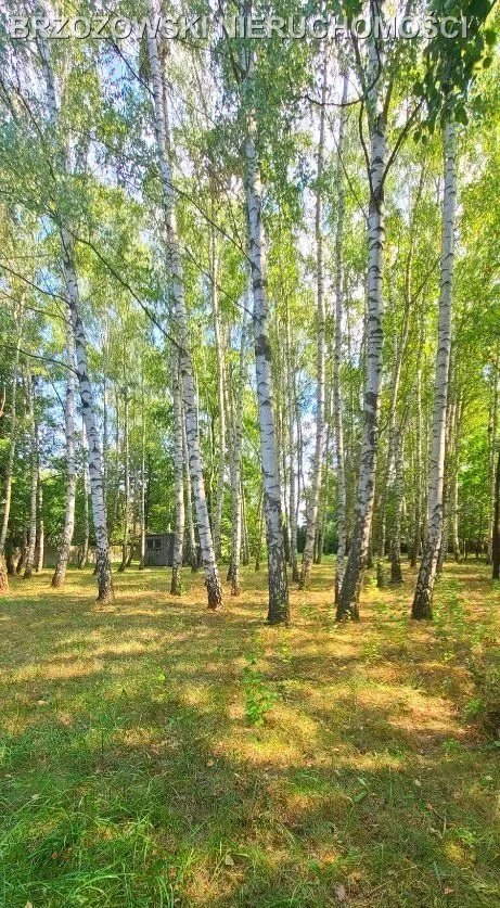 Działka budowlana na sprzedaż Nadarzyn  5 000m2 Foto 4