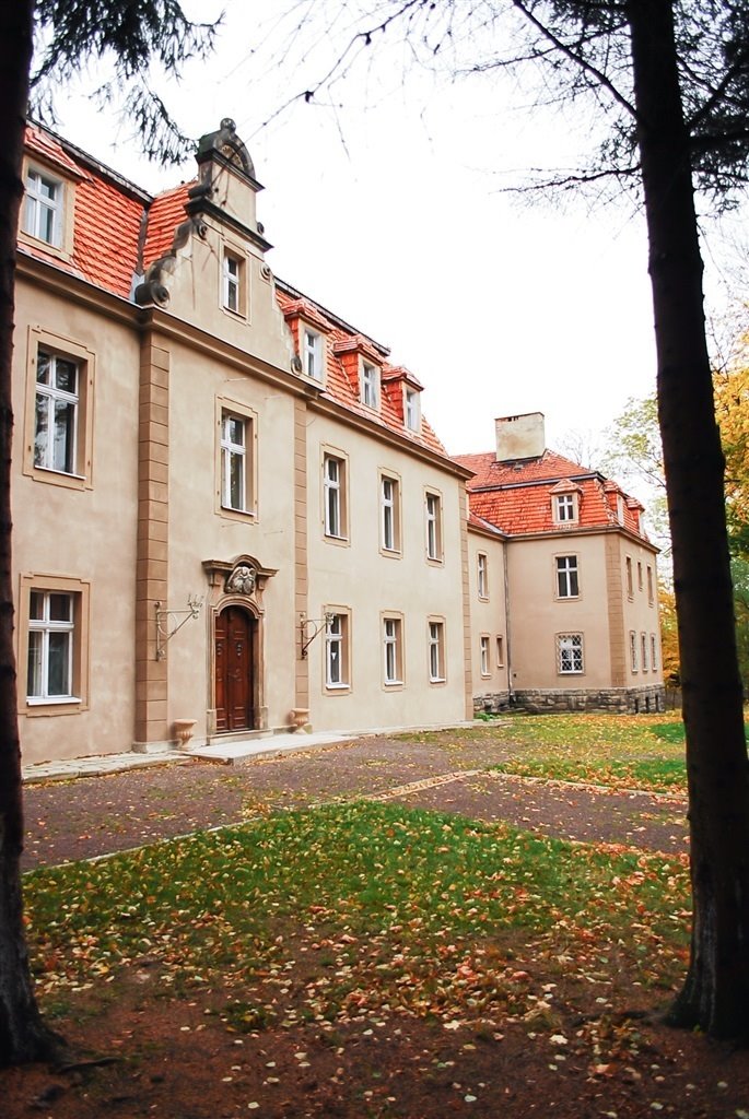 Lokal użytkowy na sprzedaż Wałbrzych, Rusinowa  5 000m2 Foto 3