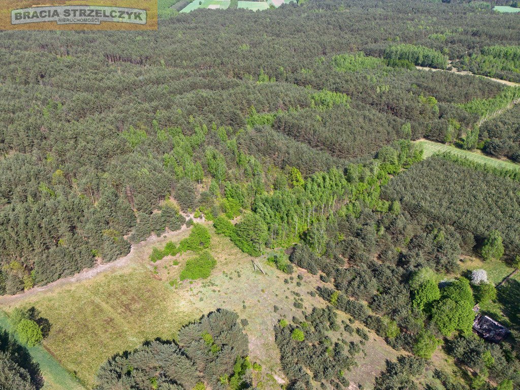 Działka budowlana na sprzedaż Mroczki-Rębiszewo  23 500m2 Foto 2