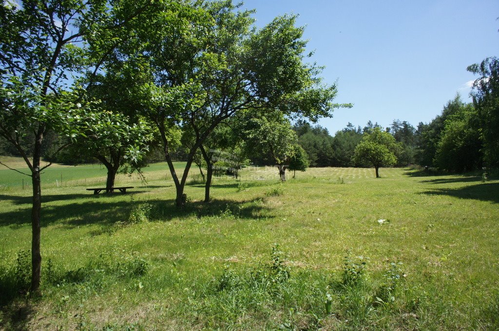 Działka siedliskowa na sprzedaż Liski  6 600m2 Foto 6