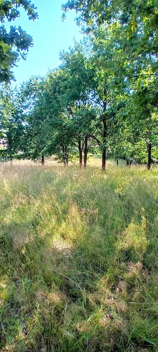 Działka inna na sprzedaż Szczawno-Zdrój  5 612m2 Foto 3