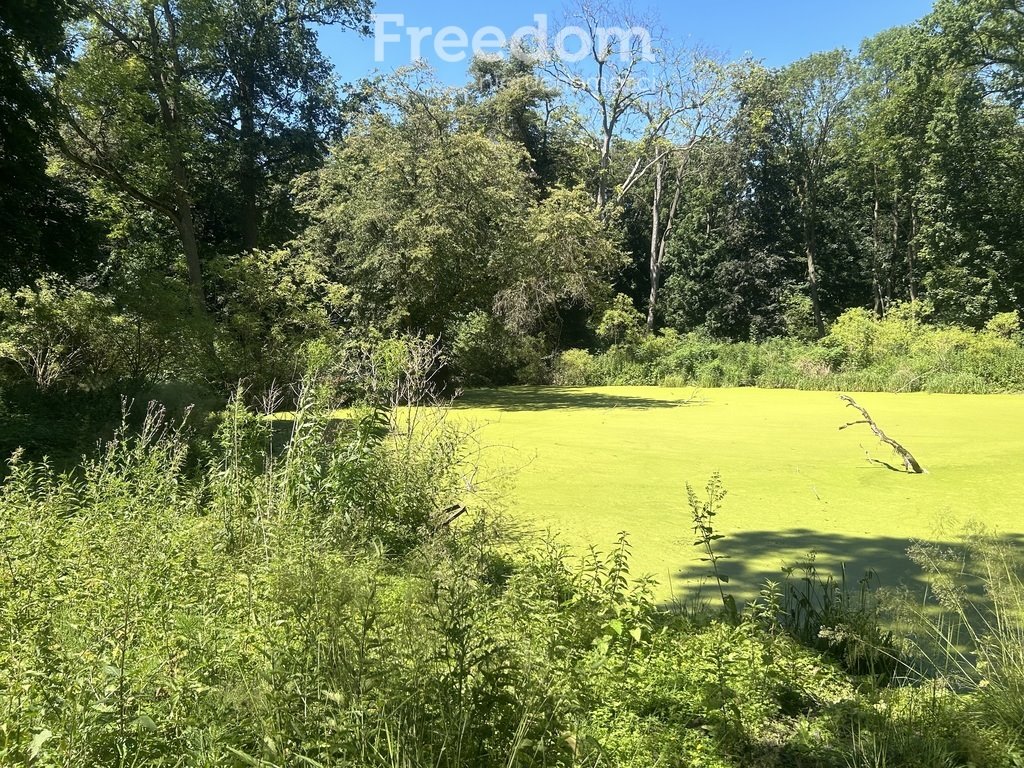 Dom na sprzedaż Drzązgowo  500m2 Foto 10