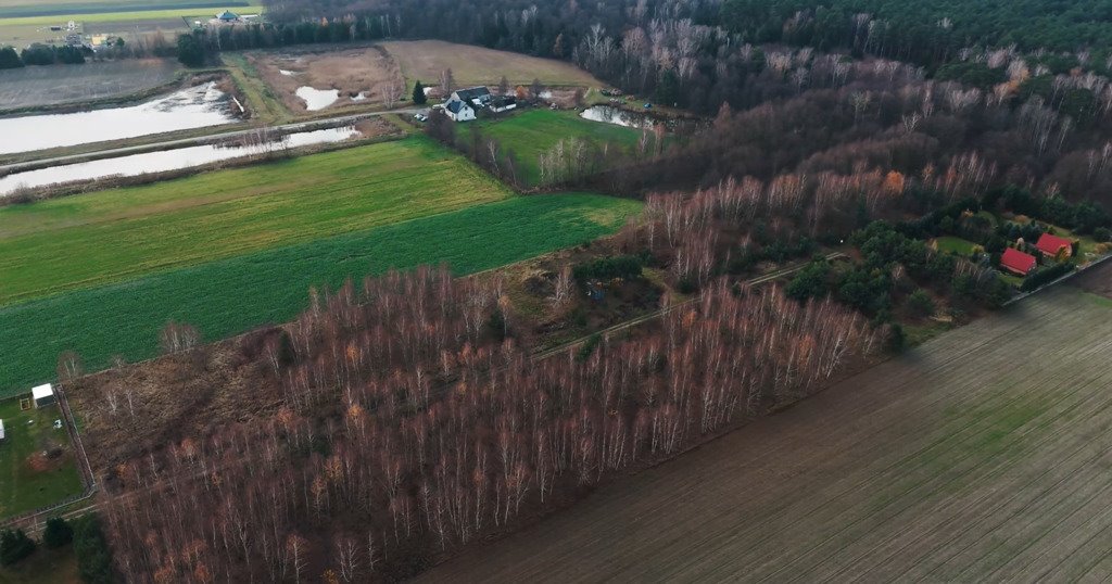 Działka rolna na sprzedaż Kotowice  3 400m2 Foto 6