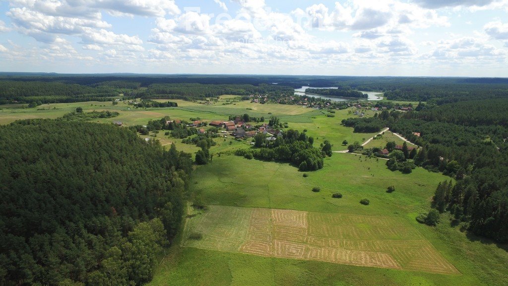 Działka budowlana na sprzedaż Ząbie  8 300m2 Foto 14