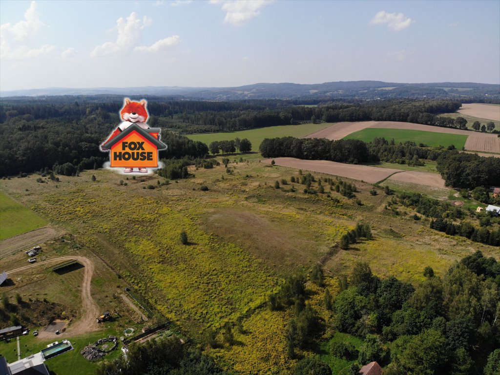 Działka budowlana na sprzedaż Olszyna Dolna  1 403m2 Foto 1