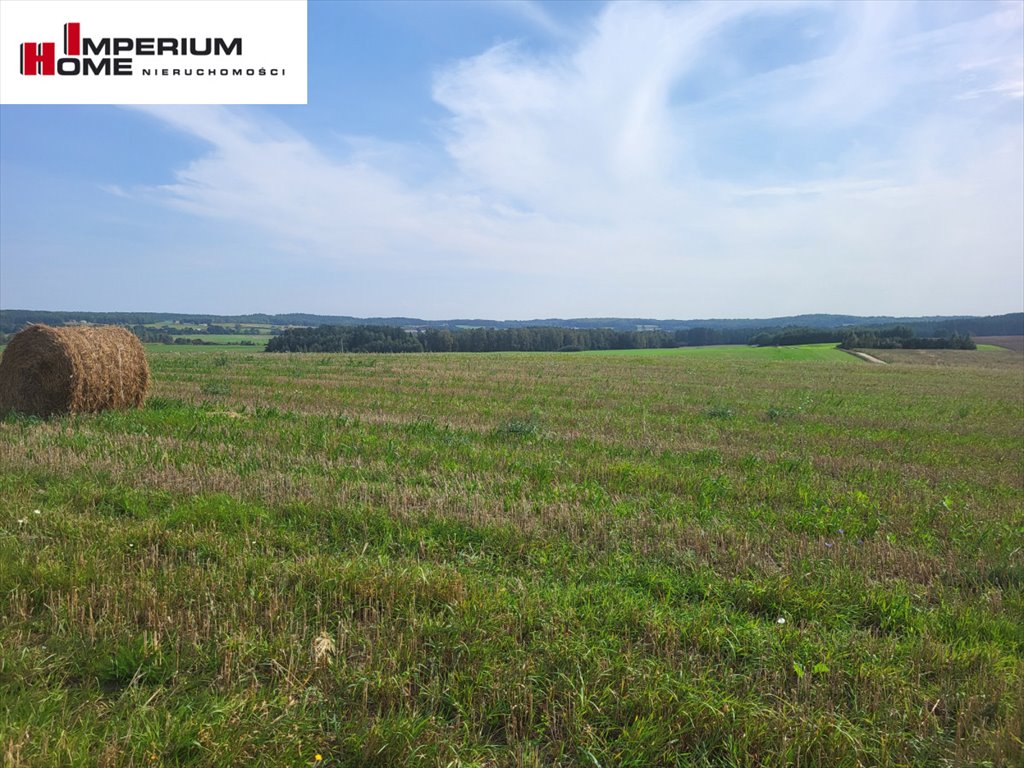 Działka budowlana 2046 m² z warunkami zabudowy i uzbrojeniem Dzięcielec  2 046m2 Foto 1