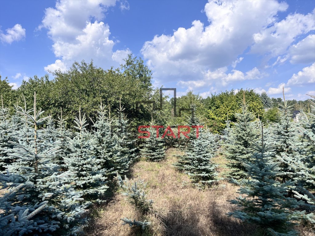 Działka siedliskowa na sprzedaż Osuchów  11 500m2 Foto 1