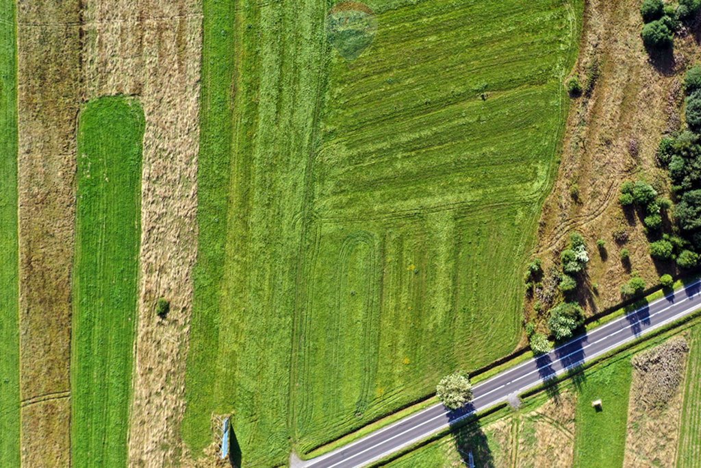 Działka inna na sprzedaż Białka Tatrzańska  3 432m2 Foto 4