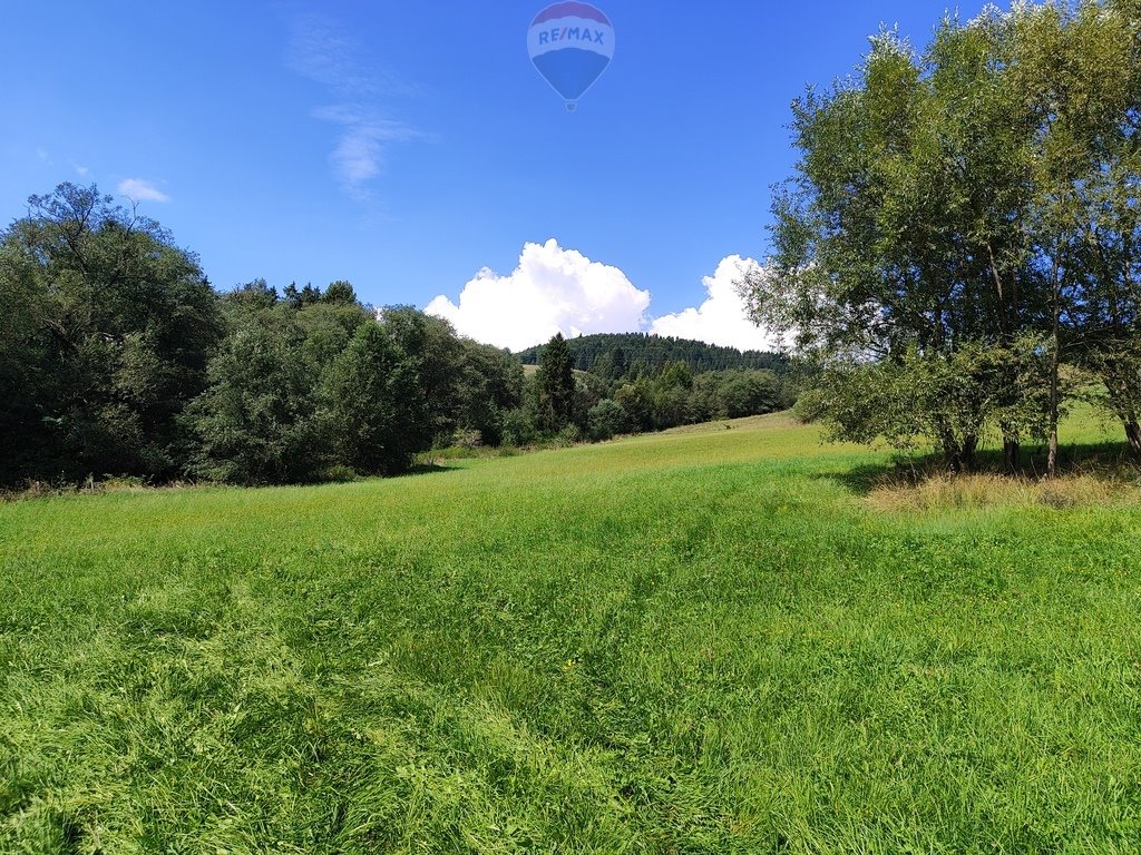 Działka budowlana na sprzedaż Łapsze Niżne  8 873m2 Foto 5