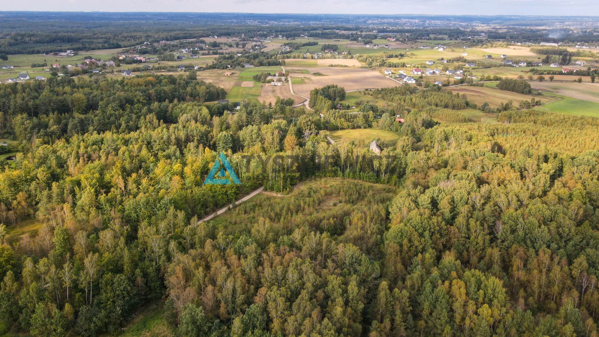 Działka budowlana na sprzedaż Skrzeszewo Żukowskie, Leśna  11 811m2 Foto 10