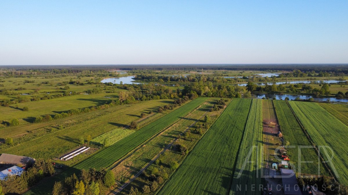 Działka budowlana na sprzedaż Brańszczyk  1 001m2 Foto 5