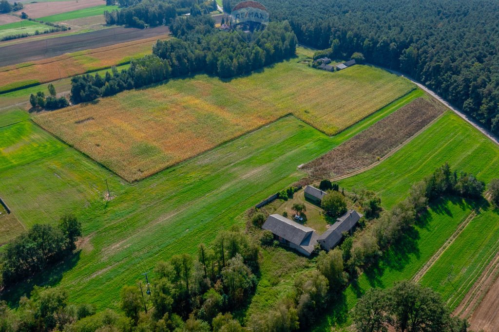 Działka budowlana na sprzedaż Wodzin Majoracki, Okupniki  1 200m2 Foto 6