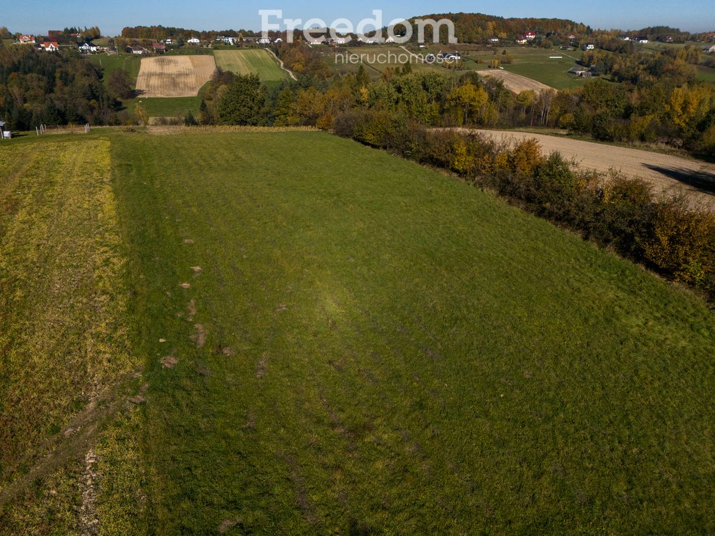 Działka budowlana na sprzedaż Raciechowice  4 600m2 Foto 2