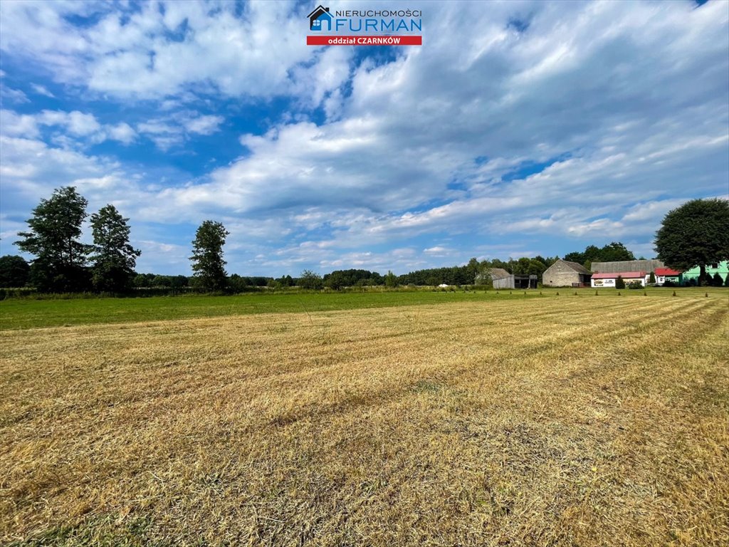 Działka budowlana na sprzedaż Biernatowo  2 462m2 Foto 8