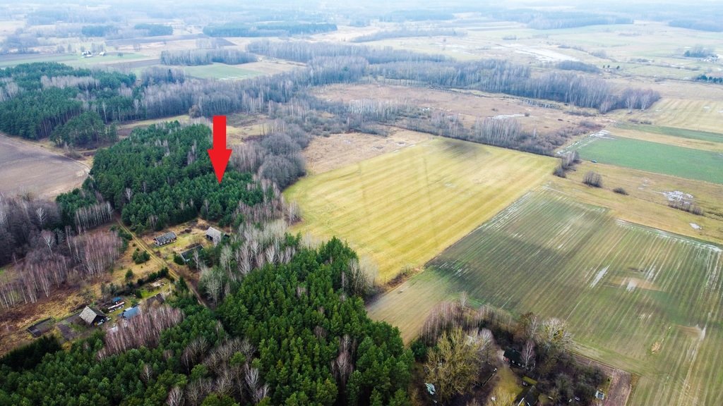 Działka 3000 m² z lasem i warunkami zabudowy - polecam! Ostrówki  3 010m2 Foto 1
