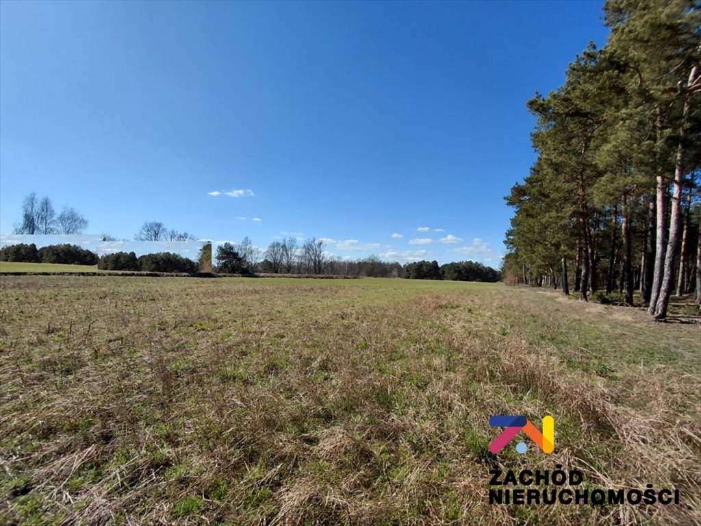 Działka pod dwa domy w Lubieszowie (WZ, media, 5700 m²) Lubieszów  5 700m2 Foto 1