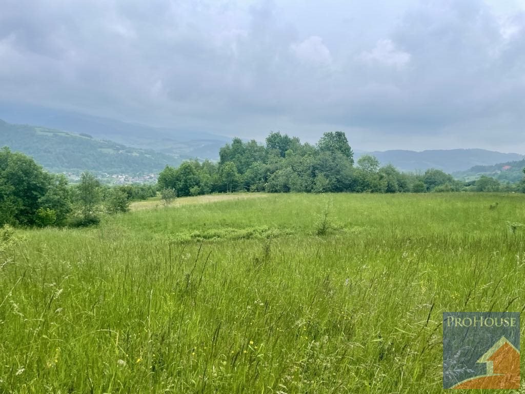 Działka rolna na sprzedaż Kamienica  5 600m2 Foto 8