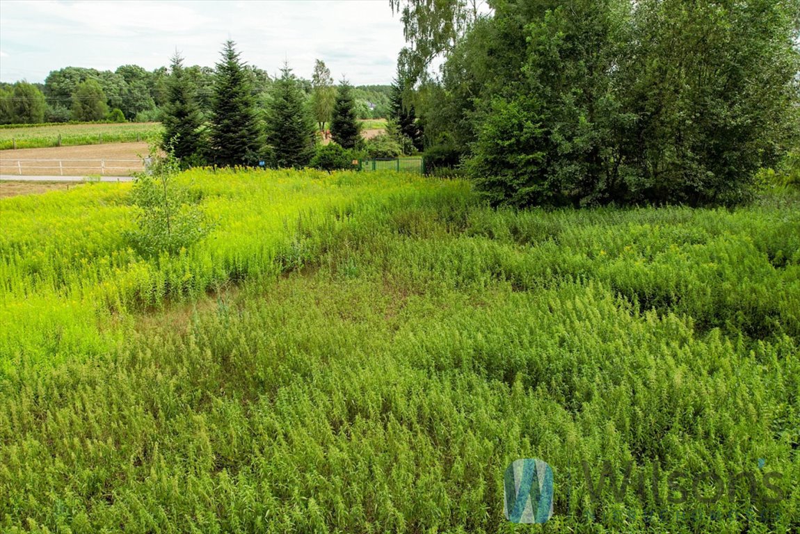 Działka budowlana na sprzedaż Pasikonie, Kucyków  1 498m2 Foto 6