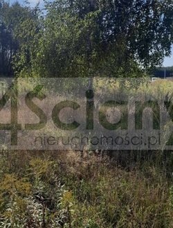 Działka 1160 m² z mediami i MPZP w Ojrzanowie Ojrzanów  1 160m2 Foto 1