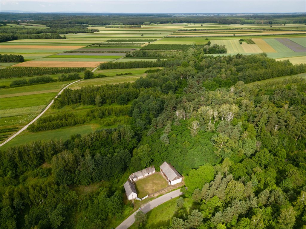 Działka siedliskowa na sprzedaż Okół  3 916m2 Foto 4