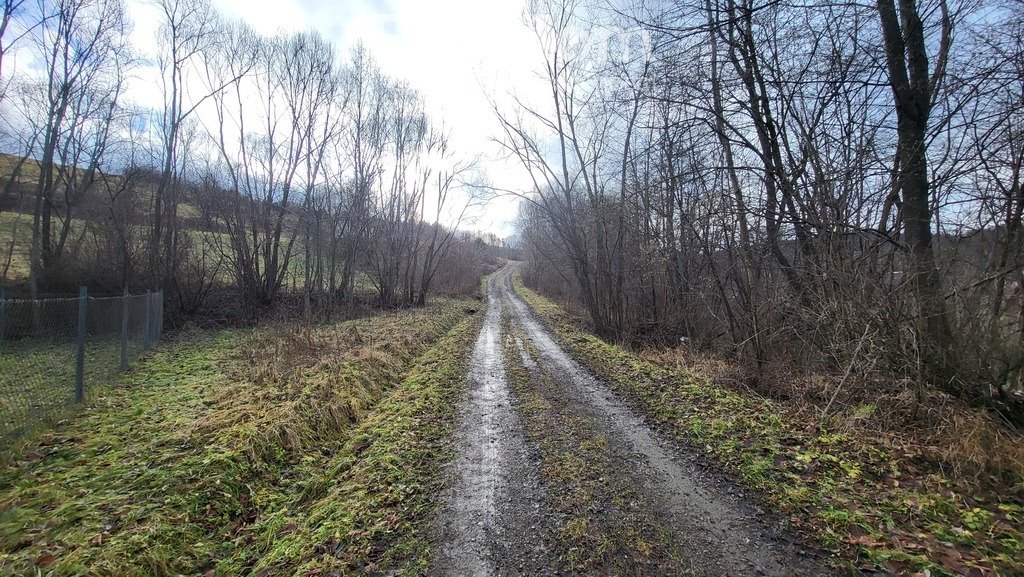 Działka inna na sprzedaż Górzanka  12 233m2 Foto 14