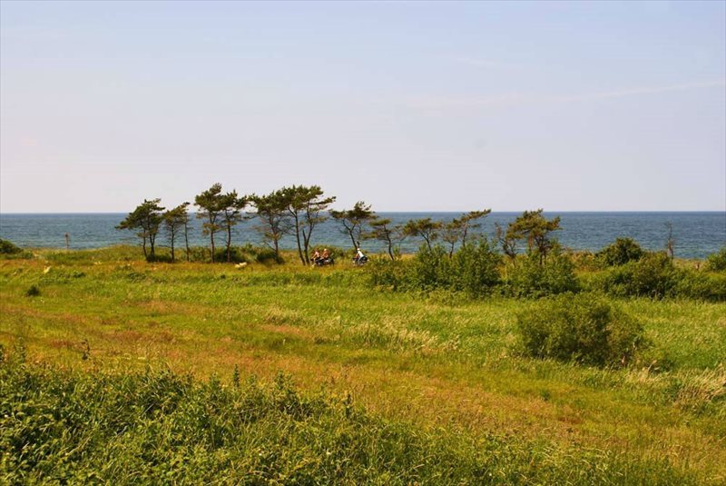 Działka budowlana na sprzedaż Karwieńskie Błoto Drugie  500m2 Foto 2