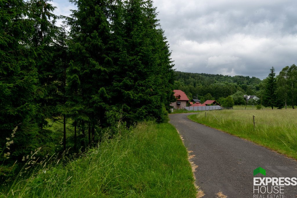 Działka budowlana na sprzedaż Stronie Śląskie  4 069m2 Foto 8