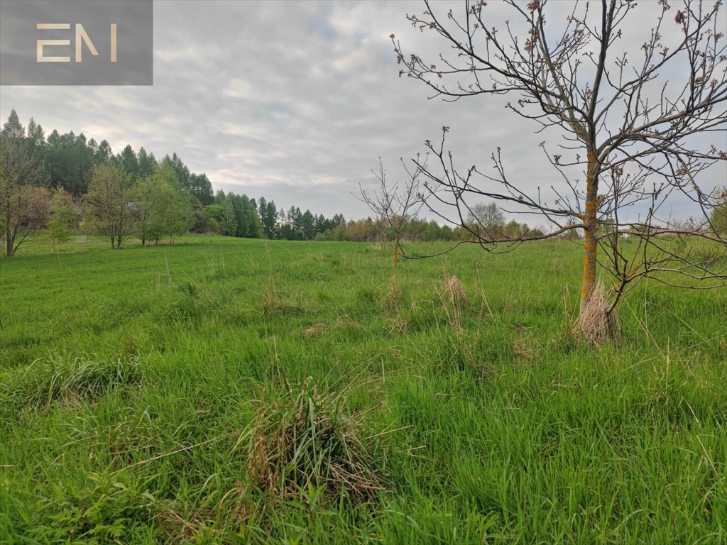 Działka budowlana na sprzedaż Hadle Kańczuckie  3 300m2 Foto 6