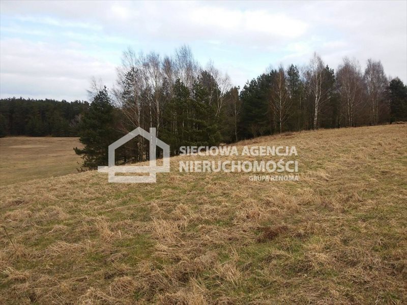 Duża działka rolna 25 ha z lasami, dostęp do drogi Żelki  252 100m2 Foto 1