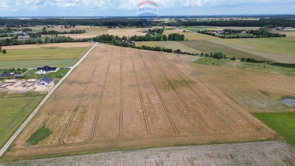 Działka budowlana na sprzedaż Grzebienisko, Szamotulska  1 005m2 Foto 5