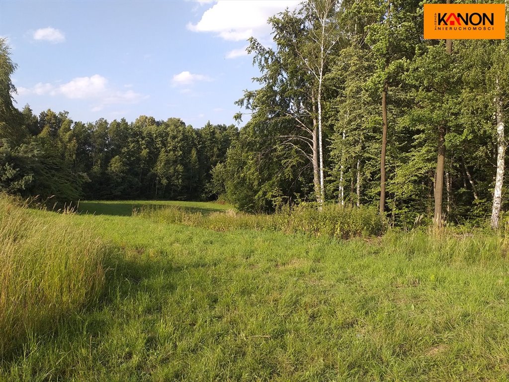Działka 9 467 m² z możliwością zabudowy i rekreacji Pisarzowice  9 467m2 Foto 1