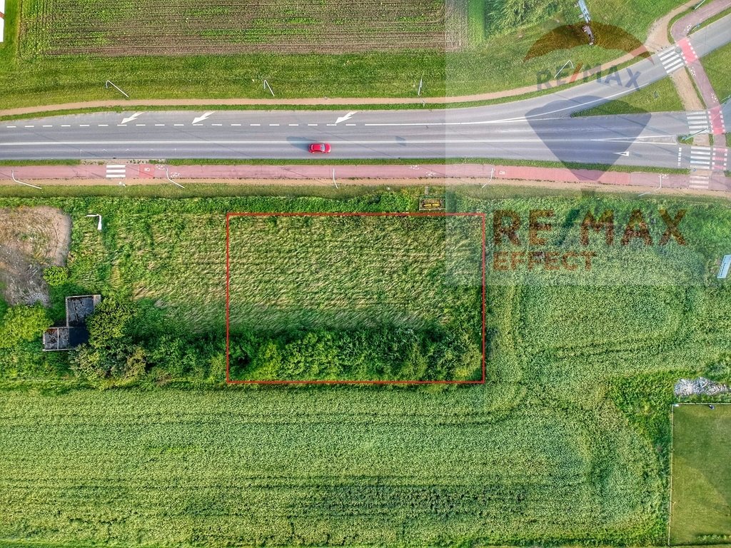 Działka inwestycyjna na sprzedaż Tychy, Serdeczna  1 749m2 Foto 1