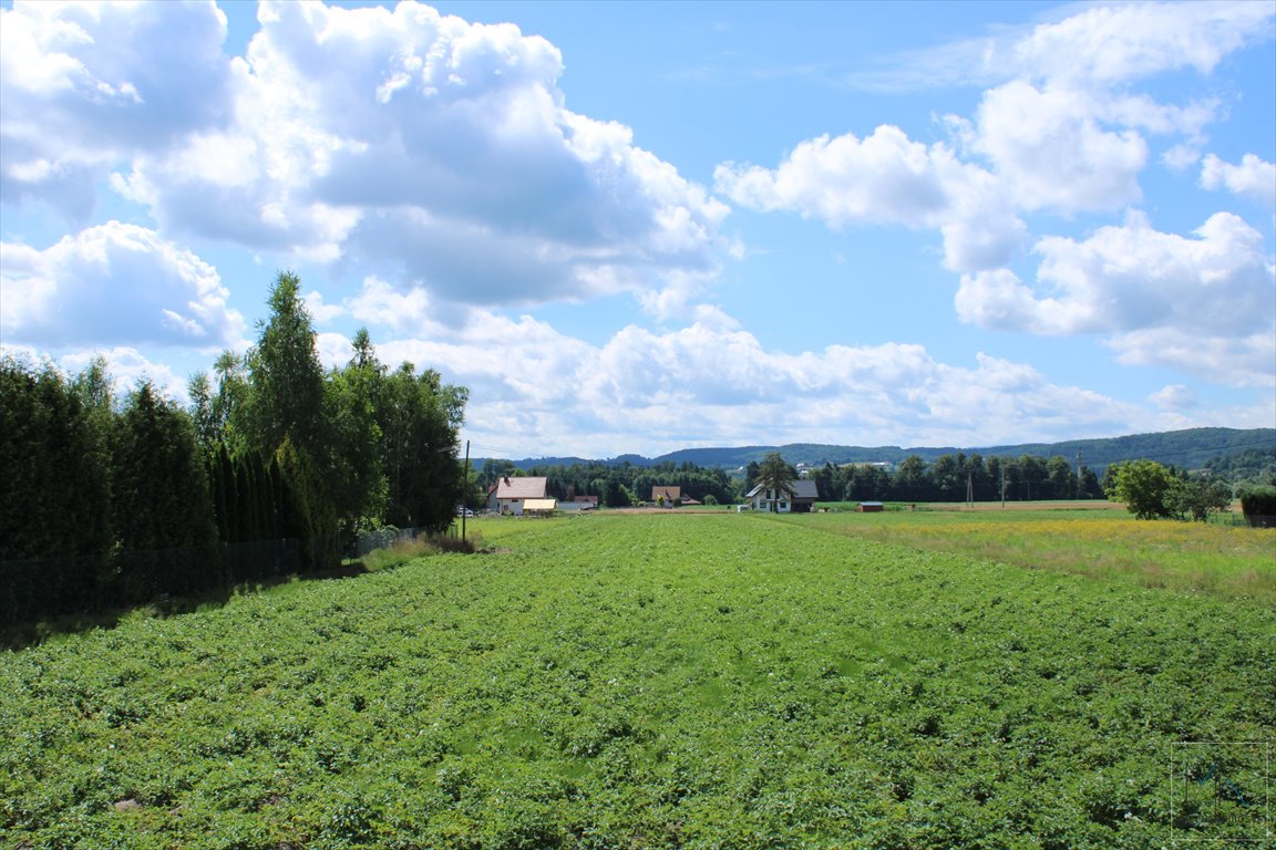 Działka budowlana na sprzedaż Winiary  10 200m2 Foto 9