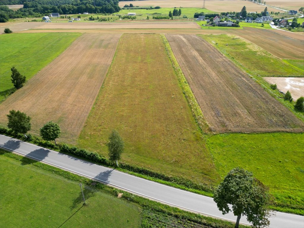 Działka przemysłowo-handlowa na sprzedaż Tokary, Przodkowska  1 100m2 Foto 5