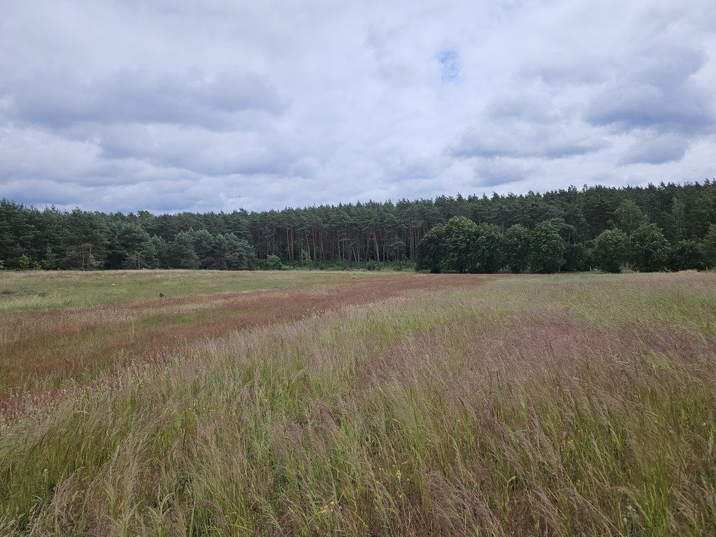 Działka budowlana na sprzedaż Klepin  1 204m2 Foto 5