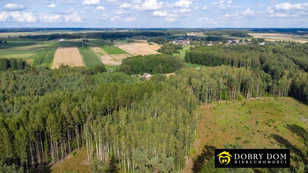 Działka budowlana na sprzedaż Turośń Kościelna  3 317m2 Foto 1