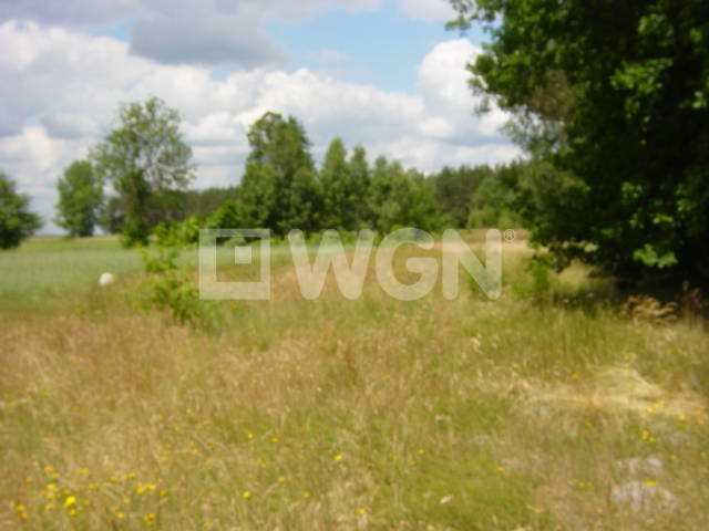 Działka budowlana na sprzedaż Przygodzice, okolice Przygodzic 4 600m2 Foto 1 Działka budowlana na sprzedaż Przygodzice, okolice Przygodzic 4 600m2 Foto 1