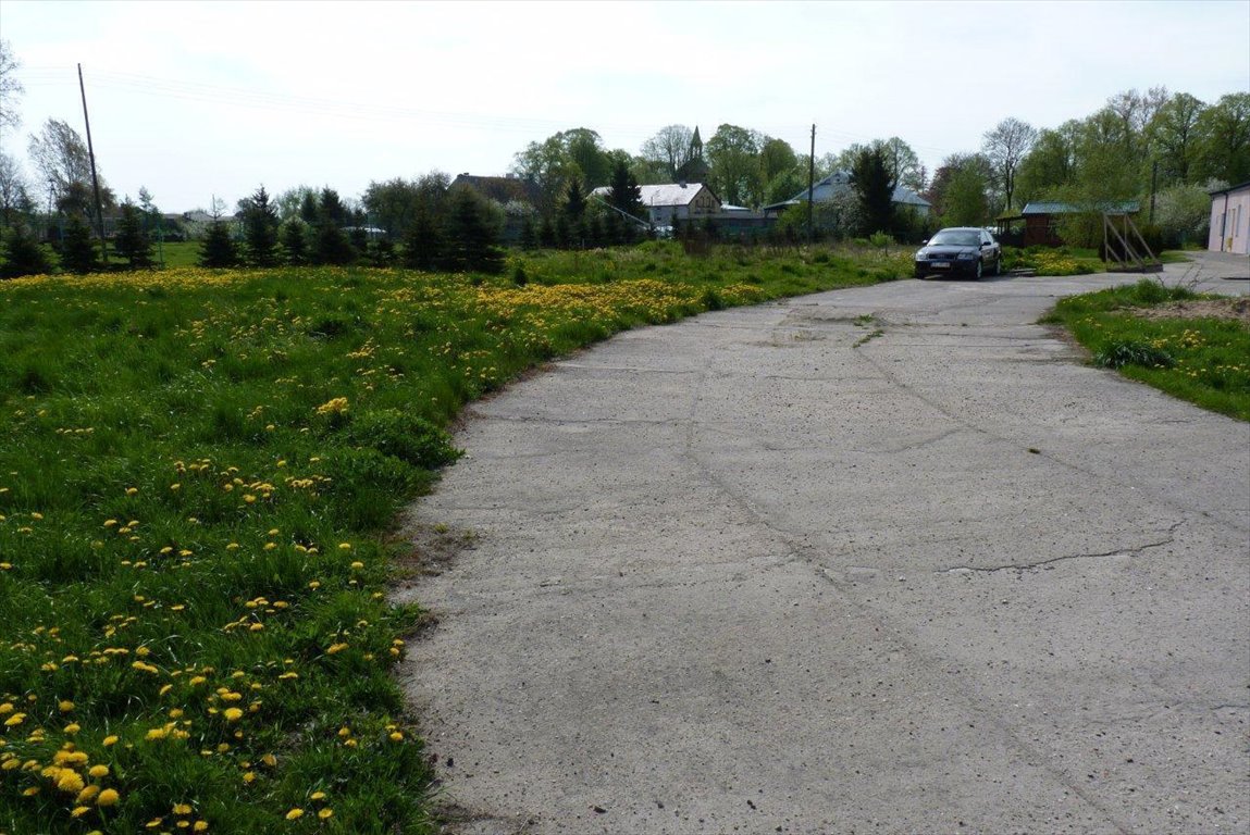 Lokal użytkowy na sprzedaż Czernin  968m2 Foto 5