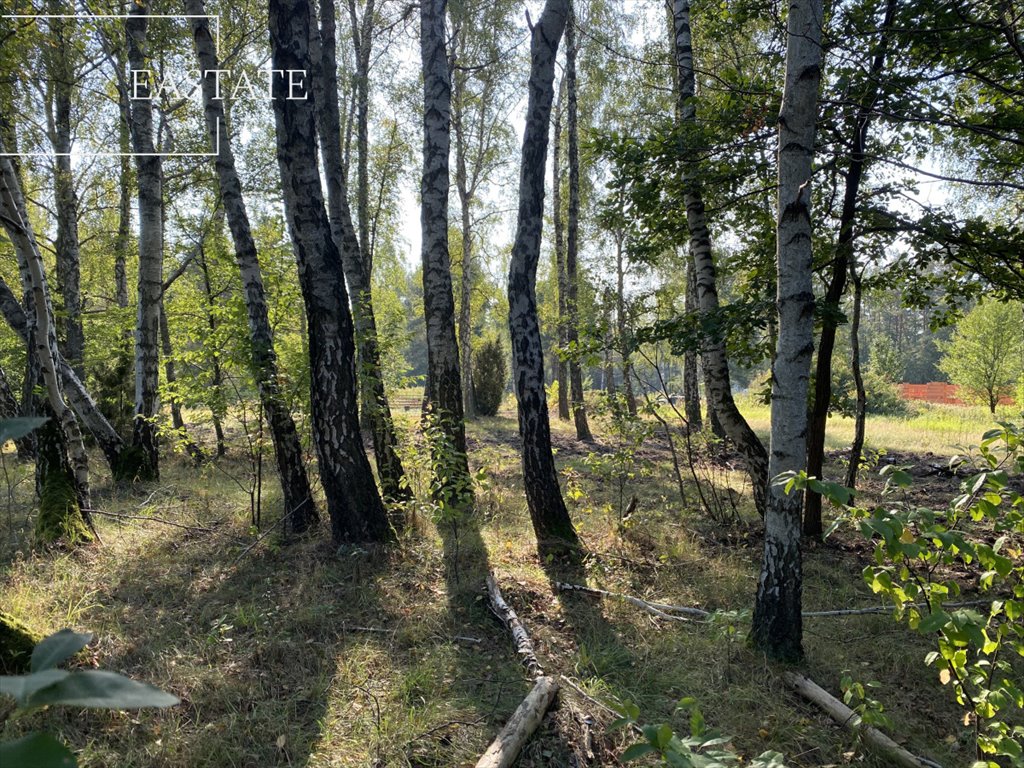 Działka budowlana na sprzedaż Warszawa  1 500m2 Foto 6