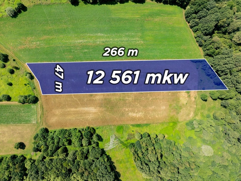 Do sprzedania działka rolna 1,25 ha z pięknym widokiem Radziszów, Kamienna 24  12 561m2 Foto 1