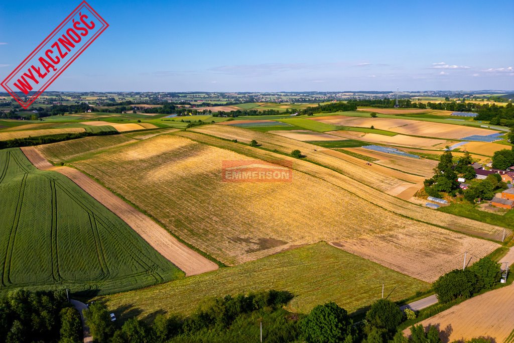 Działka rolna na sprzedaż Grębocin  40 000m2 Foto 2