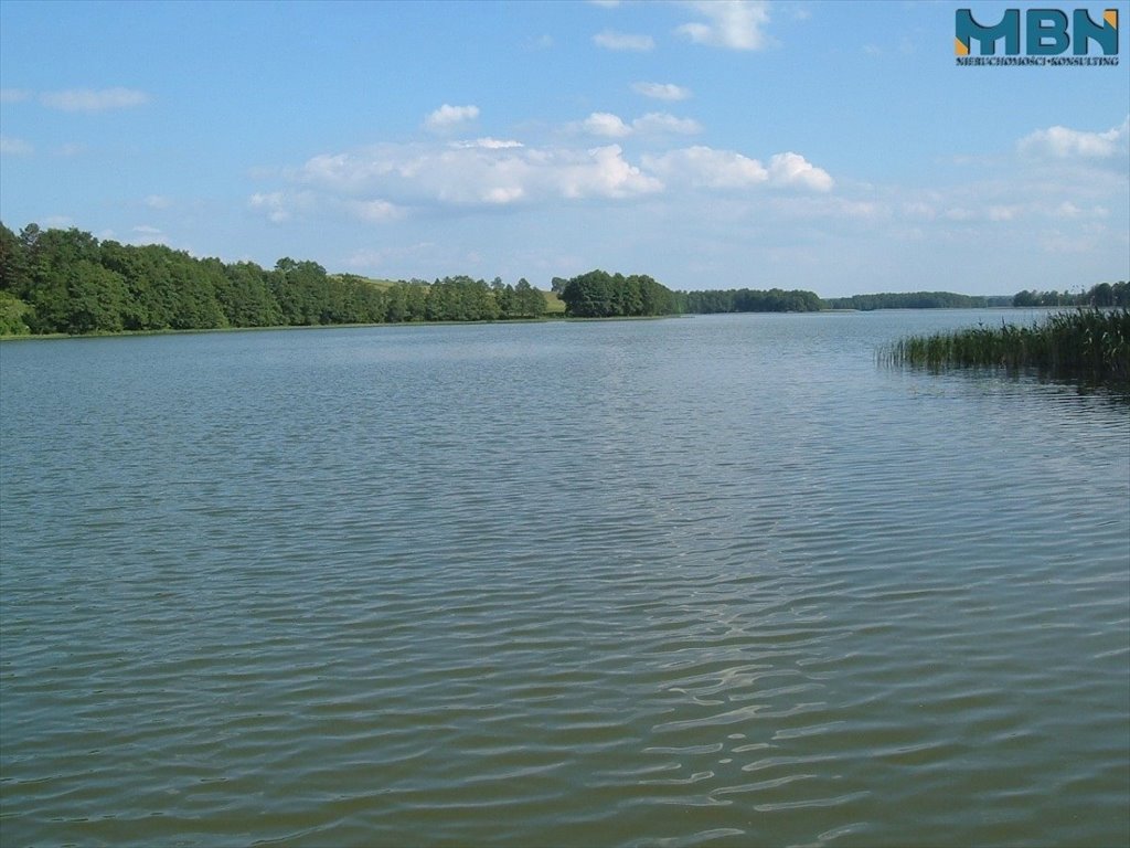 Działka inna na sprzedaż Marcinowa Wola, Marcinowa Wola  6 038m2 Foto 11