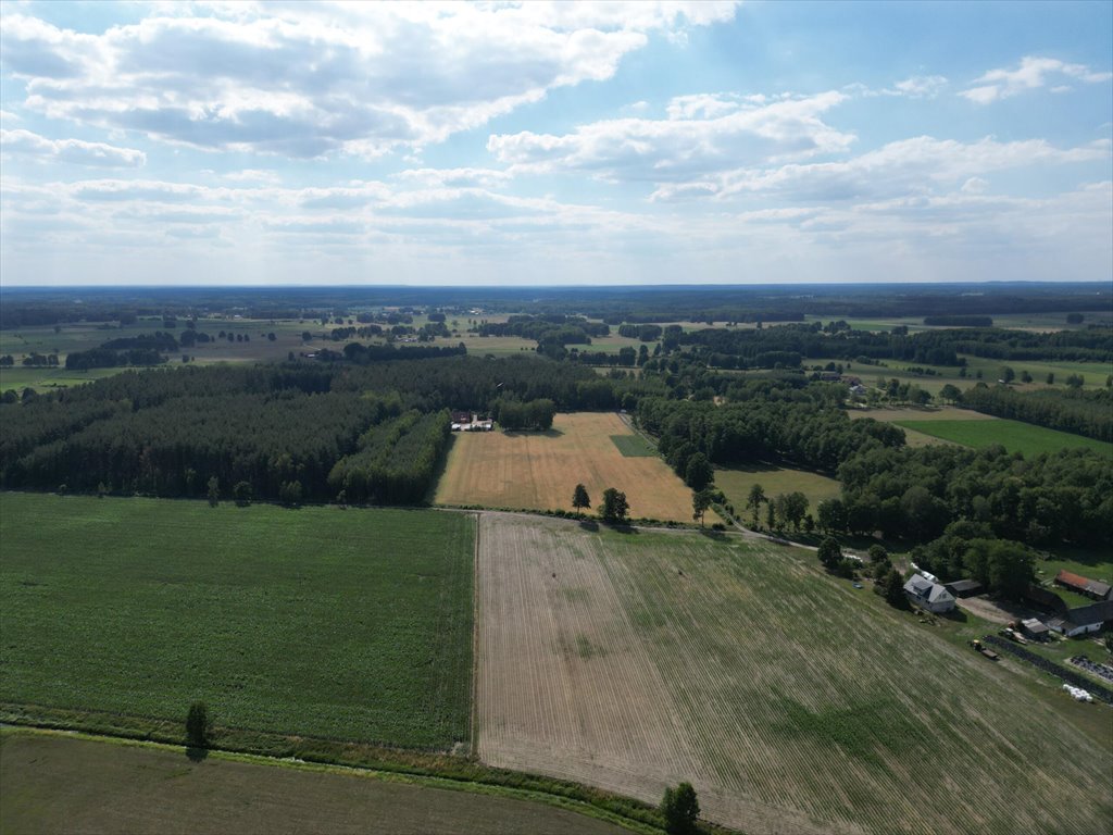 Działka budowlana na sprzedaż Jerominy  3 705m2 Foto 9