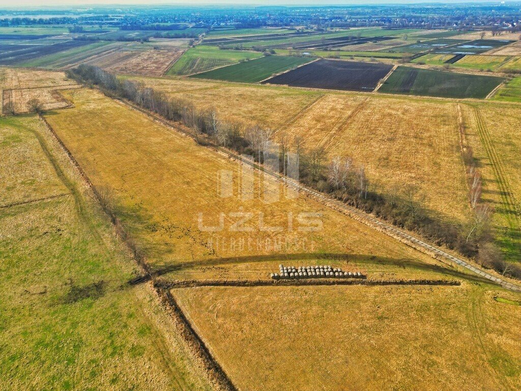 Działka rolna na sprzedaż Lędowo  50 182m2 Foto 1